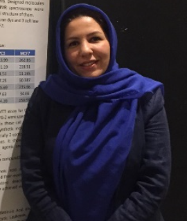 Speaker at Medicinal Chemistry, Computer Aided Drug Design and Delivery 2023 - Atefeh Hajiagha Bozorgi